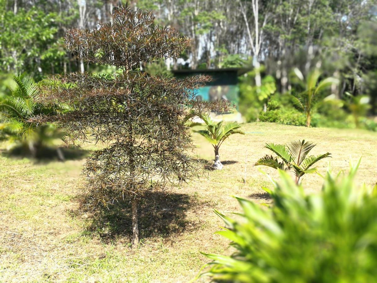 Palm Garden House Apartment Koh Lanta Luaran gambar